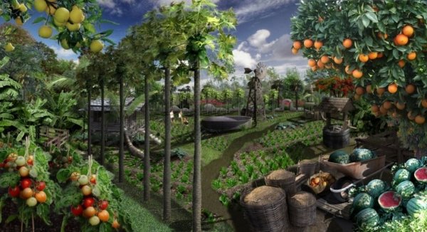 Organic Gardening Costa Rica