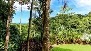 1.25 ACRES - 3 Bedroom Luxury Ocean View Home With Pool In Gated Community!!!