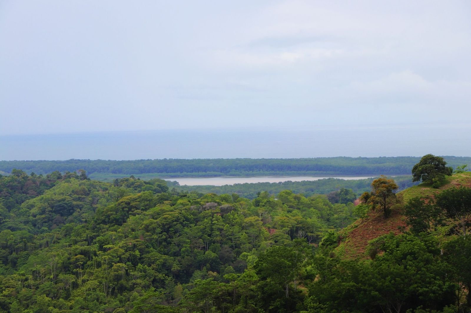 54 ACRES Ocean And Mountain View Acreage With Spring And River And