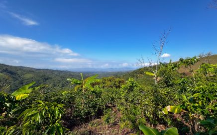 13.6 ACRES – Paradise Land With Panoramic Mountain View!!!