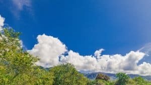 Lush green trees and mountains under a bright blue sky with clouds in Dominical, Costa Rica.