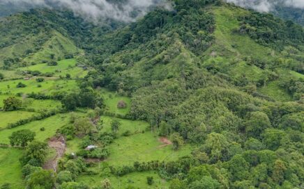 177 ACRES – Ocean View Property With Multiple Building Sites, Unspoiled Mountain, Jungle, River & Waterfall Areas!!!