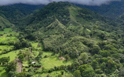 177 ACRES – Ocean View Land With Multiple Plantels, Unspoiled Mountain, Jungle, River & Waterfall!!!