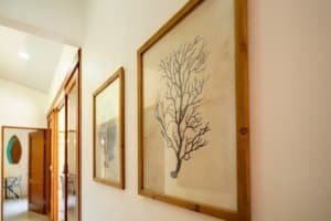 Framed tree artwork hanging on a wall in a stylish Costa Rican home.
