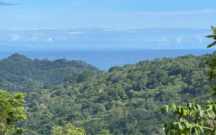 7.56 ACRES – Ocean View Acreage In Lagunas, 50% Flat And Usable, Public Road, ASADA Water, Fruit Trees!!!!