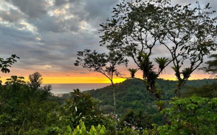 1.75 ACRES – Amazing Ocean View Lot, Gated Community, Legal Water, Minutes From Dominical And Beach!!!!