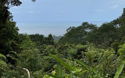 4.5 ACRES – Gated Ocean View Parcel With Dense Jungle And A Creek!!!