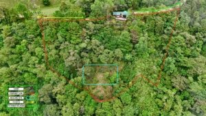 Aerial view of forested land with property boundaries and a cabin in Dominical.