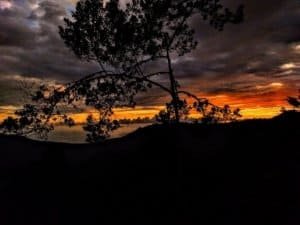 Beautiful sunset view over the ocean with silhouetted trees in Dominical, Costa Rica.