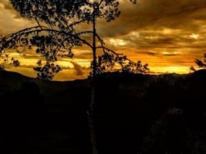 Sunset view over forest with dramatic sky and silhouetted trees in Dominical.