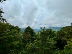 Scenic view of lush green forest, mountains, and cloudy sky in Dominical.