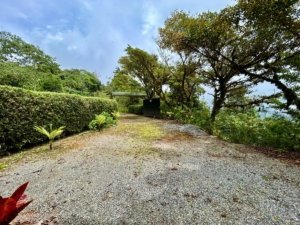 Scenic view of lush trees and valley from property in Dominical, Costa Rica.