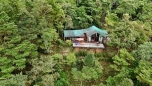 Secluded cabin with ocean and valley views surrounded by lush forest.