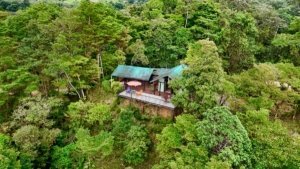 Secluded cabin with ocean and valley views surrounded by lush forest.