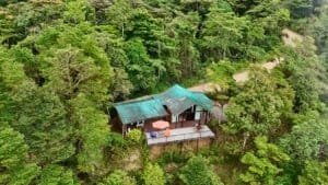 Secluded cabin with ocean and valley views surrounded by lush forest.