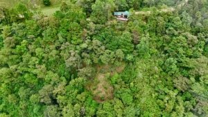 Aerial view of lush tropical forest with a cabin in Dominical, Costa Rica.