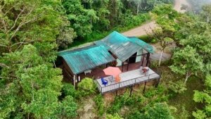 A cabin with a large deck overlooking lush green forest and ocean in Dominical.