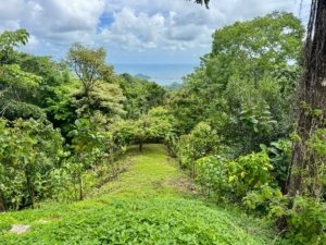 Lush tropical land with ocean view near Dominical, Costa Rica.
