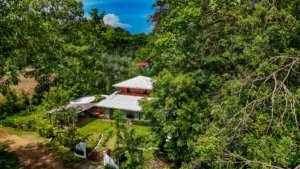 Fully renovated Costa Rican-style home surrounded by lush greenery and streams.