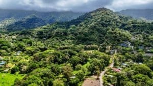 Green mountains and forested area near Dominical, Costa Rica.