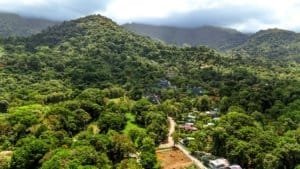 Fully renovated Costa Rican-style home surrounded by dense green forest in Dominical.