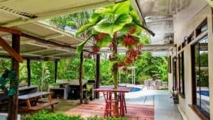 Fully renovated Costa Rican-style home with streams and lush greenery.