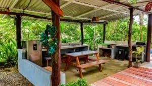 Rustic outdoor kitchen with grill, sink, and seating in lush jungle setting.
