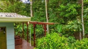 Fully renovated Costa Rican-style home surrounded by lush greenery and streams.
