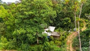 Fully renovated Costa Rican-style home surrounded by lush greenery and streams.