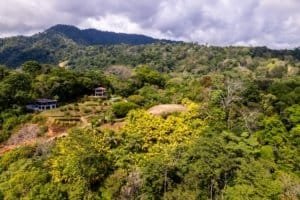 Lush green hillside with multiple homes and scenic mountain views in Dominical.