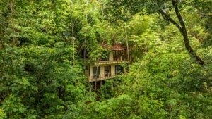 Secluded tropical villa surrounded by lush jungle canopy in Dominical.