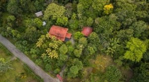 Aerial view of lush tropical estate with houses near Golfo Dulce.