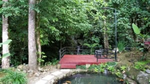 Serene tropical garden with waterfall, wooden deck, and lush greenery.