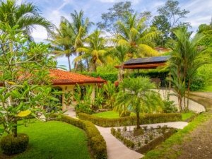 Lush tropical garden with modern home and ocean view in Dominical.