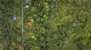 Aerial view of lush green estate with house and cabin in Dominical, Costa Rica.