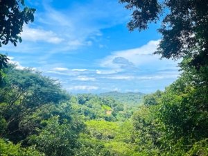 Scenic view of lush green landscape and distant ocean in Dominical.