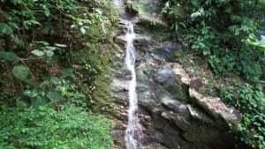 Scenic waterfall surrounded by lush tropical greenery in Dominical, Costa Rica.