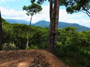 Scenic ocean view with trees, mountains, and blue sky in Dominical, Costa Rica.