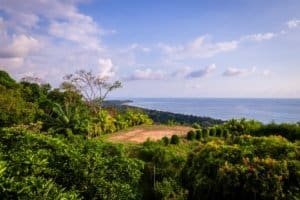 Scenic view of lush greenery and ocean from Dominical estate.