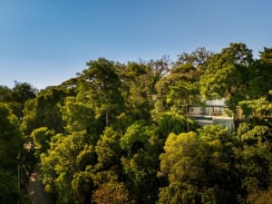 Tropical hillside home with ocean view, surrounded by lush greenery in Dominical.