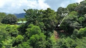 Lush green lot with partial ocean view in Dominical, Costa Rica.