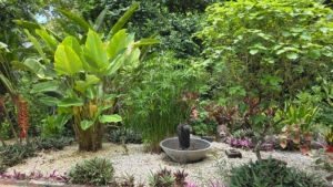Lush tropical garden with water fountain, vibrant plants, and greenery in Costa Rica.