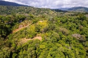 Lush green hillside with homes and dense forest in Dominical, Costa Rica.