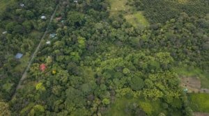 Aerial view of lush forested estate with homes near Golfo Dulce, Costa Rica.