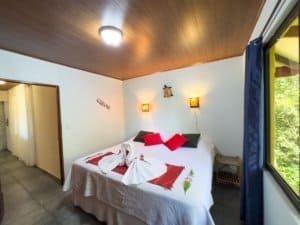 Comfortable bedroom with white bedding, red pillows, and large window with greenery view.