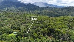 Lush green forest with a marked lot in Dominical, Costa Rica.