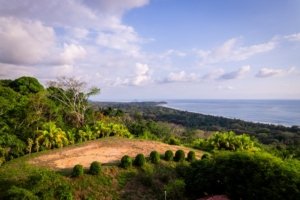Scenic view of Dominical coast with lush greenery and ocean in background.