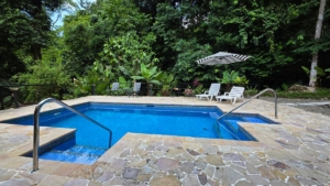 Swimming pool with waterfall, surrounded by lush tropical trees in Dominical.