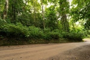 Riverfront property with lush green forest and dirt road in Dominical, Costa Rica.