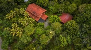 Aerial view of a lush Costa Rican estate with two buildings and tropical trees.